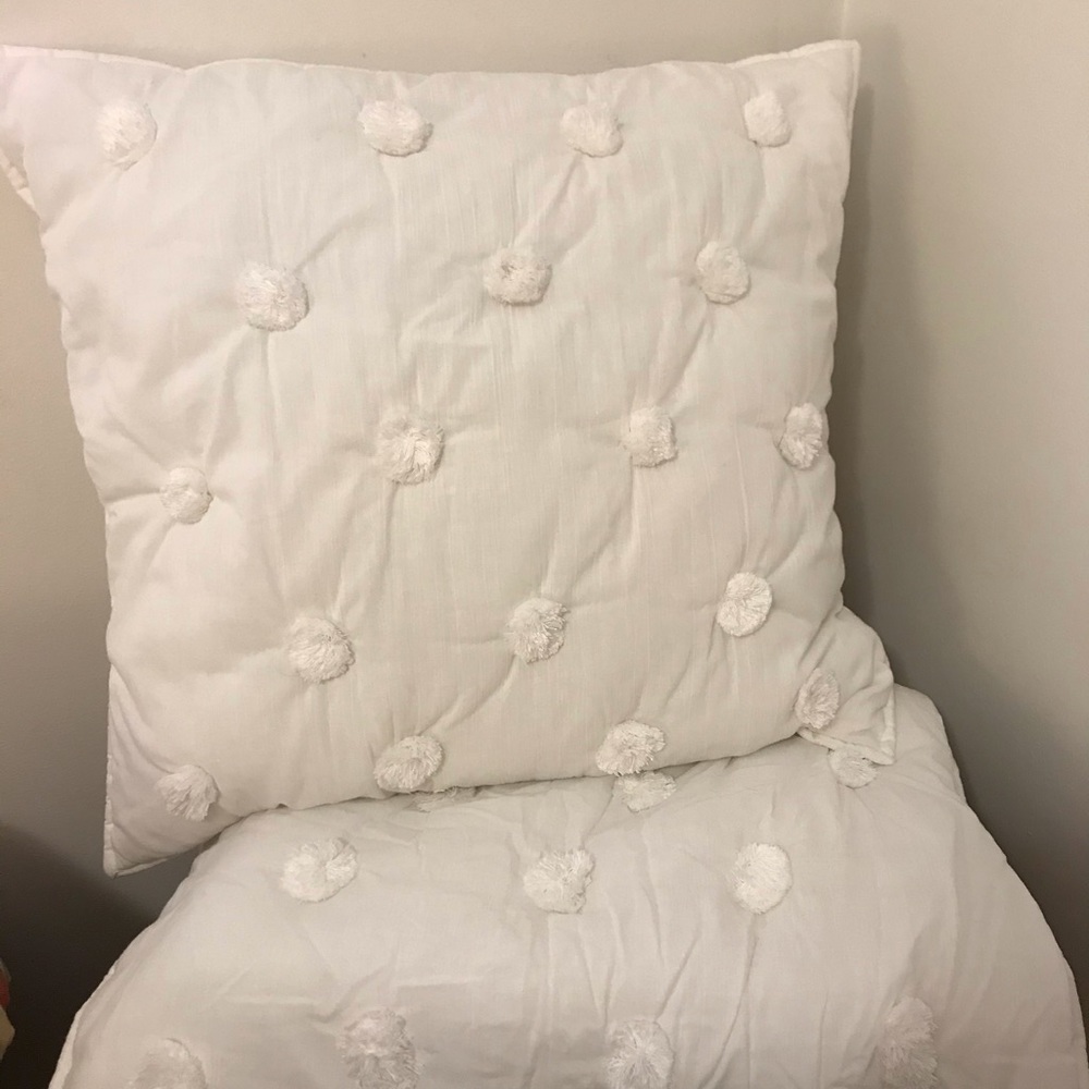Pottery Barn Teen Euro Sham Covers